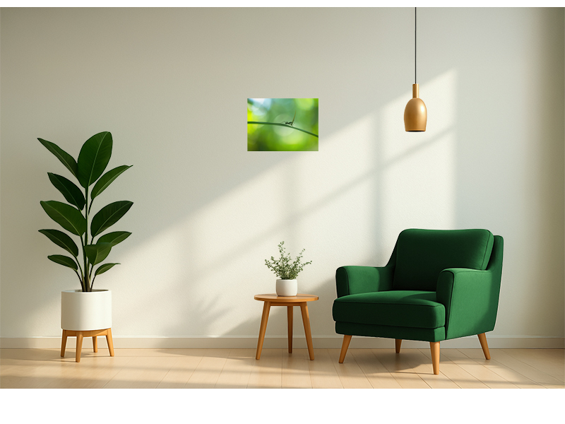 PRODUCT_GALLERY_IMAGE_ALT