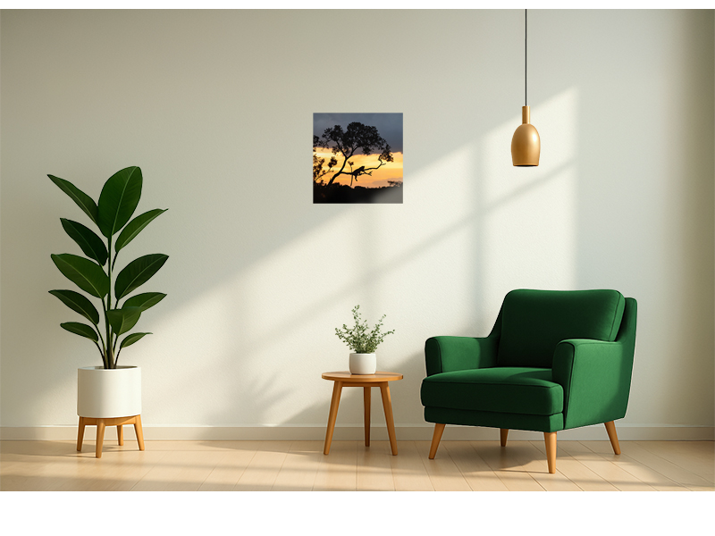 PRODUCT_GALLERY_IMAGE_ALT