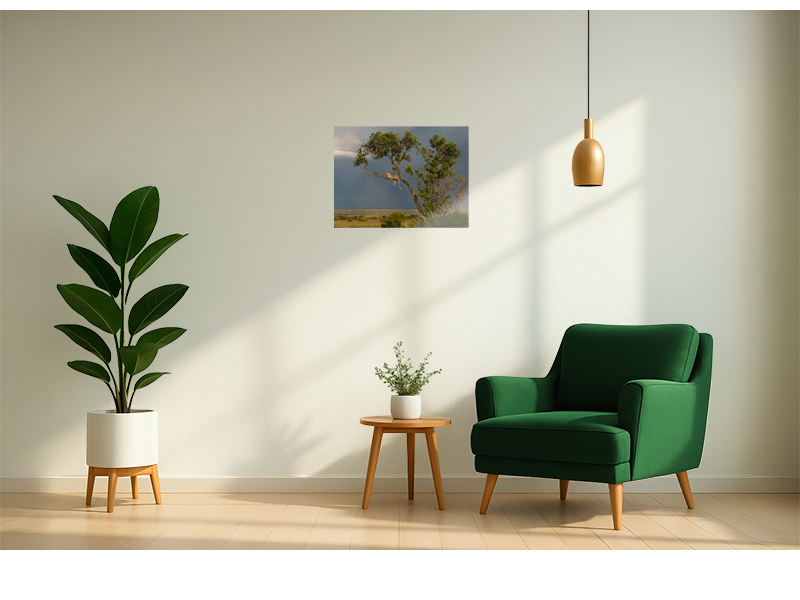 PRODUCT_GALLERY_IMAGE_ALT